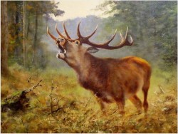 JELEŃ NA RYKOWISKU - Georg Majewicz (1897 - 1965, Niemcy)