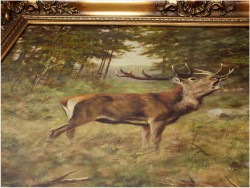 MALARSTWO AUKCYJNE! JELEŃ NA RYKOWISKU - Georg Majewicz (1897 - 1965 | Niemcy)