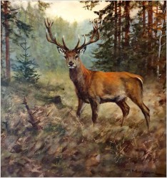 Malarstwo myśliwskie! Dostojny czternastak. Jeleń - oryg. Georg Majewicz (1897-1965)