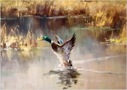 Panoramiczny obraz! Odlatujące kaczki - Horst Hartung (*1921 Berlin)