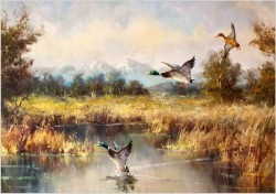 Panoramiczny obraz! Odlatujące kaczki - Horst Hartung (*1921 Berlin)