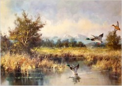 Panoramiczny obraz! Odlatujące kaczki - Horst Hartung (*1921 Berlin)