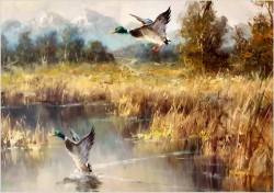 Panoramiczny obraz! Odlatujące kaczki - Horst Hartung (*1921 Berlin)