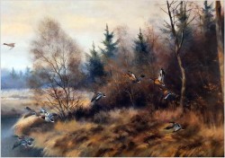 Kaczki w locie - Paul Wilhelm Dahms (1913-1988)