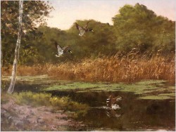 Dzikie kaczki nad leśnym stawem - oryg. Georg Majewicz (1897-1965)