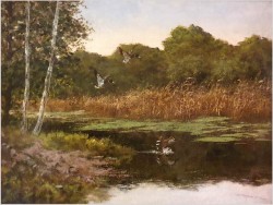 Dzikie kaczki nad leśnym stawem - oryg. Georg Majewicz (1897-1965)