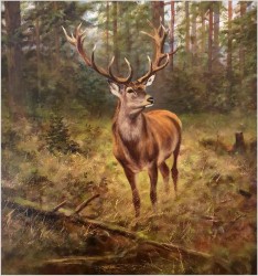 Malarstwo myśliwskie! Dostojny szesnastak. Jeleń - oryg. Georg Majewicz (1897-1965)