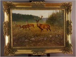 Malarstwo myśliwskie! Jeleń i Łanie na leśnej polanie - oryg. Georg Majewicz (1897-1965) Rozmiar XXL!