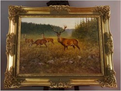 Malarstwo myśliwskie! Jeleń i Łanie na leśnej polanie - oryg. Georg Majewicz (1897-1965) Rozmiar XXL!