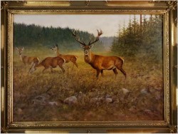 Malarstwo myśliwskie! Jeleń i Łanie na leśnej polanie - oryg. Georg Majewicz (1897-1965) Rozmiar XXL!