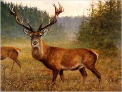 Malarstwo myśliwskie! Jeleń i Łanie na leśnej polanie - oryg. Georg Majewicz (1897-1965) Rozmiar XXL!