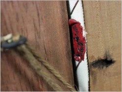 Godny uwagi! Próba wina - org prof. Willi Depré (1922-1995r.) Certyfikat!