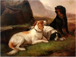 Psy na tle Szkockiego Krajobrazu - Robert Cleminson (1864 - 1903)