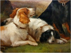 Psy na tle Szkockiego Krajobrazu - Robert Cleminson (1864 - 1903)