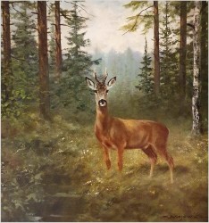 Malarstwo myśliwskie! Kozioł sarny - oryg. Georg Majewicz (1897-1965)