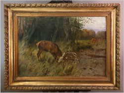 Waleczny Jeleń - Johann Christopher Drathmann (1856-1932) Rozmiar XXL!