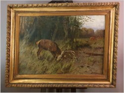 Waleczny Jeleń - Johann Christopher Drathmann (1856-1932) Rozmiar XXL!