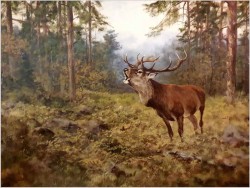 Myślistwo! Jeleń na rykowisku - oryg. Georg Majewicz (1897-1965)