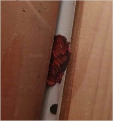 Godny uwagi! Próba wina - org prof. Willi Depré (1922-1995r.) Certyfikat!