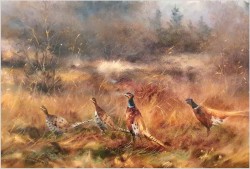 Myślistwo! Bażanty i kuropatwy - Paul Wilhelm Dahms (1913-1988)