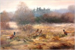 Myślistwo! Bażanty i kuropatwy - Paul Wilhelm Dahms (1913-1988)