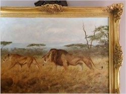 Tanganika! Wędrówka afrykańskich Lwów - Oryg. Georg Majewicz (1897-1965)