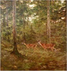 Malarstwo myśliwskie! Sarna i Kozioł Sarny - oryg. Georg Majewicz (1897-1965)