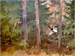 Odlatujące kaczki - Waldemar von Collins (1910 Riga - 1999 Rastede)