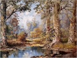 Tajemnicze rozlewisko leśne - G.Hagen (Germany 1950/1960 rok)