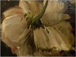 14ff4f83c5cc59faa3dbf95b3b6de421