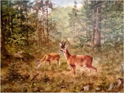 Malarstwo myśliwskie! Sarna i Kozioł Sarny - oryg. Georg Majewicz (1897-1965)