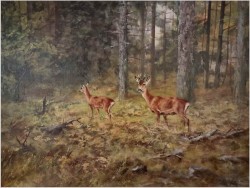 Malarstwo dla myśliwego! Sarna i Kozioł Sarny - oryg. Georg Majewicz (1897-1965)