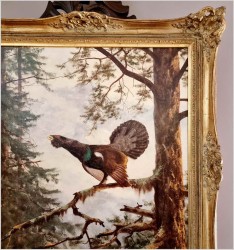 Super malarstwo! Głuszec na gałęzi - oryg. Georg Majewicz (1897-1965)