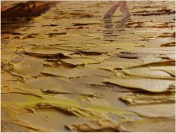 UNIKATOWY TEMAT! ŁODZIE ŻAGLOWE W ZATOCE -  Carol SPREE ur.1907r