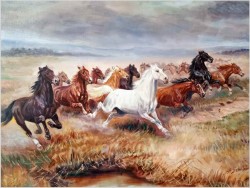  Galopujące dzikie konie - Afanasij Ivanovic Scheloumoff  (1892-1983)