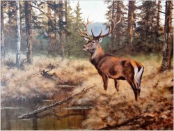 Dostojny Jeleń na przedpolu lasu - oryg. Georg Majewicz (1897-1965)