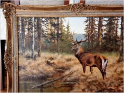 Dostojny Jeleń na przedpolu lasu - oryg. Georg Majewicz (1897-1965)