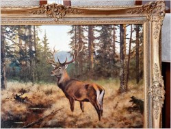 Dostojny Jeleń na przedpolu lasu - oryg. Georg Majewicz (1897-1965)