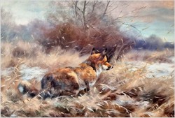 Myślistwo! Lis polujący na kuropatwy - Paul Wilhelm Dahms (1913-1988)