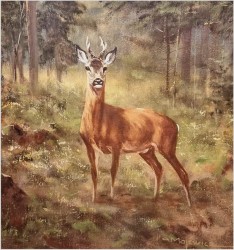 Malarstwo myśliwskie! Kozioł sarny - oryg. Georg Majewicz (1897-1965)