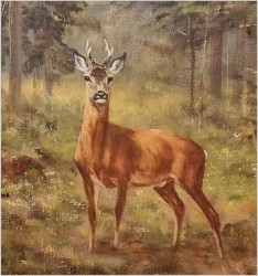 Malarstwo myśliwskie! Kozioł sarny - oryg. Georg Majewicz (1897-1965)