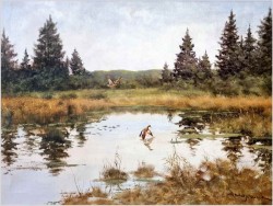 Dzikie kaczki nad leśnym stawem - oryg. Georg Majewicz (1897-1965)