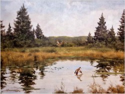 Dzikie kaczki nad leśnym stawem - oryg. Georg Majewicz (1897-1965)