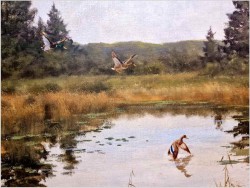 Dzikie kaczki nad leśnym stawem - oryg. Georg Majewicz (1897-1965)