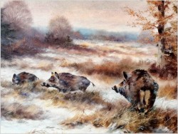 Dziki na zaśnieżonej leśnej polanie - Paul Wilhelm Dahms (1913-1988)