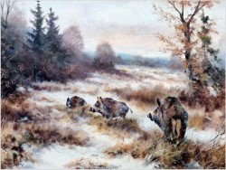 Dziki na zaśnieżonej leśnej polanie - Paul Wilhelm Dahms (1913-1988)