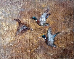 Myśliwski! Kaczki unoszące się w porannej mgle - Peter BROUWER  *1935