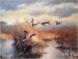 Myśliwskie malarstwo! Odlatujące kaczki - Prof. Gerhard Zank  *1937