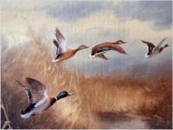 Myśliwskie malarstwo! Odlatujące kaczki - Prof. Gerhard Zank  *1937