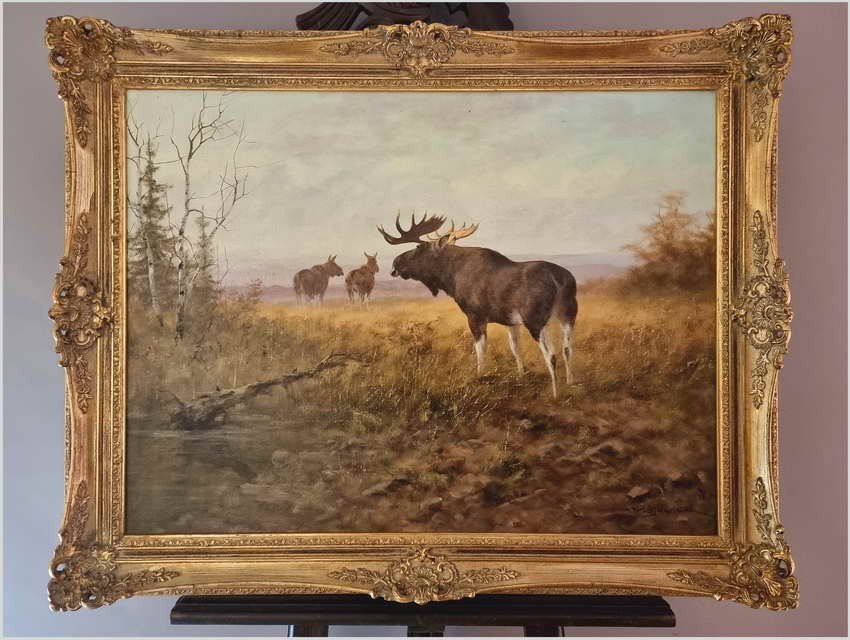 Animalistyka! Łoś i dwie Klępy na leśnych mokradłach - oryg. Georg Majewicz (1897-1965)